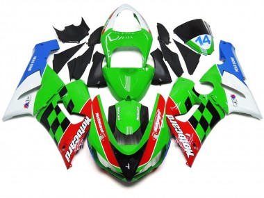 Cuadro Multicolor 2005-2006 Kawasaki ZX6R Carenados Moto
