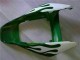 Comprar Carenados Moto Honda CBR1000RR 2006-2007 - Blanco Verde Llama