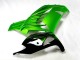 Comprar Carenado Moto Kawasaki ZX14R ZZR1400 2012-2024 - Verde Negro Brillante