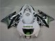 Comprar Carenados Moto Honda CBR600 F3 1995-1996 - Blanco Plata Verde Hannspree