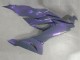 Comprar Carenados Moto Kawasaki ZX6R 2019-2022 - Camaleón Gris Dazz Púrpura Perla