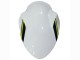 Comprar Carenados Moto Kawasaki Ninja Z650 2020-2023 - Blanco Negro Verde