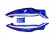 Comprar Carenados Moto Yamaha YZF600R Thundercat 1996-2007 - Azul Blanco Negro