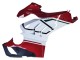 Comprar Carenados Moto Ducati Panigale V4 V4S 2020-2021 - Blanco Rojo Verde Negro Mate