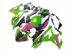 Comprar Carenados Moto BMW S1000RR 2023-2024 - Rosa Verde Negro