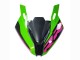 Comprar Carenados Moto BMW S1000RR 2023-2024 - Rosa Verde Negro
