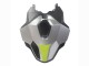 Comprar Carenados Moto BMW S1000RR 2023-2024 - Plata Negro Mate Verde Lima