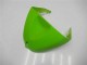 Comprar Carenados Moto Kawasaki ZX6R 2005-2006 - Verde Negro Brillante Elf