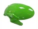 Comprar Carenados Moto Kawasaki ZX6R 2023-2025 - Verde Negro