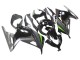 Comprar Carenados Moto Kawasaki EX300 2013-2024 - Negro Brillante Negro Mate Verde