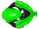 Comprar Carenados Moto Kawasaki EX300 2013-2017 - Verde Plata Negro