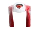 Comprar Carenados Moto Ducati 748/916/996/998 1993-2005 - Blanco Rojo Amarillo Verde Negro Brillante Performance