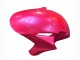 Comprar Carenados Moto Honda CBR1000RR 2004-2005 - Rosa Negro Brillante