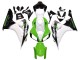 Comprar Carenado Moto Honda CBR1000RR 2006-2007 - Blanco Verde Negro Brillante