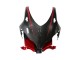 Comprar Carenados Moto Honda CBR1000RR 2008-2011 - Negro FibraCarbono Rojo