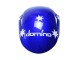 Comprar Carenados Moto Honda CBR1000RR 2008-2011 - Blanco Rojo Azul Negro Estrella Lee Carrera