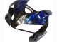 Comprar Carenado Moto Honda CBR600RR 2005-2006 - Negro Brillante Azul Llama