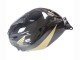 Comprar Carenado Moto Honda CBR600RR 2005-2006 - Negro Oro