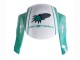 Comprar Carenados Moto Honda CBR600RR 2005-2006 - Verde Claro Blanco Negro Brillante Joe Rocket
