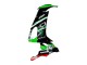 Comprar Carenados Moto Kawasaki ZX10R 2008-2010 - Verde Blanco Rojo Negro Monstruo Elf 66