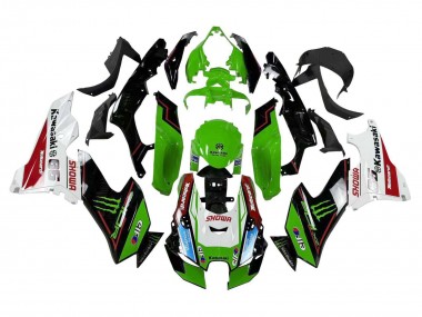 Comprar Carenados Moto Kawasaki ZX10R 2021-2026 - Verde Negro Blanco Rojo Azul Showr Elf Monstruo