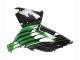 Comprar Carenados Moto Kawasaki ZX14R ZZR1400 2012-2024 - Verde Negro Brillante Raya