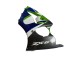 Comprar Carenados Moto Kawasaki ZX6R 1998-1999 - Verde Blanco Azul Plata Negro Brillante