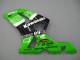 Comprar Carenados Moto Kawasaki ZX6R 2003-2004 - Verde Blanco Negro Elf Bridgestone