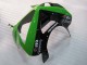 Comprar Carenados Moto Kawasaki ZX6R 2003-2004 - Verde Negro Elf Bridgestone