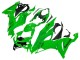 Comprar Carenados Moto Kawasaki ZX6R 2019-2022 - Verde