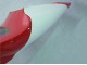 Comprar Carenados Moto Yamaha YZF 1000 R1 1998-1999 - Rojo Blanco Negro Dunlop
