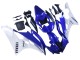 Comprar Carenados Moto Yamaha YZF 600 R6 2006-2007 - Blanco Azul Negro