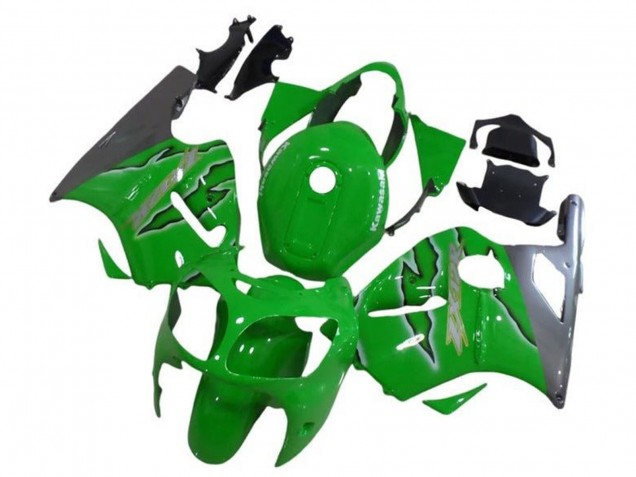 Comprar Carenados Moto Kawasaki ZX12R 2002-2006 - Verde Plata