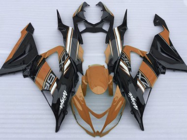 Naranja Brillante & Negro 2013-2018 Kawasaki ZX6R Carenados Moto