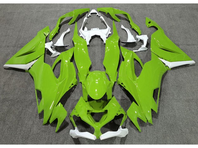 Verde Brillante & Blanco 2019-2023 Kawasaki ZX6R Carenados Moto Verde Brillante & Blanco 2019-2023 Kawasaki ZX6R Carenados Moto